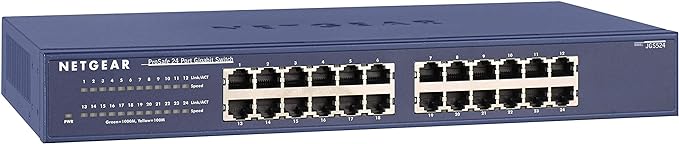 4. NETGEAR 24-Port Gigabit Ethernet Switch